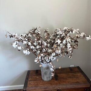Pier 1 Cotton Stems in Rustic Vase
